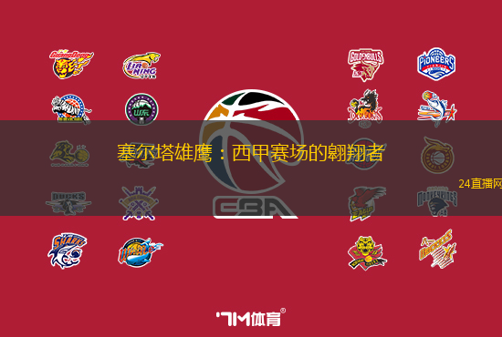 塞尔塔雄鹰：西甲赛场的翱翔者