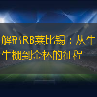 解码RB莱比锡：从牛棚到金杯的征程