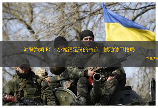 海登海姆 FC：小城镇足球的奇迹，撼动德甲格局