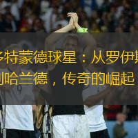 多特蒙德球星：从罗伊斯到哈兰德，传奇的崛起