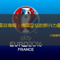 霍芬海姆：德国足坛的新兴力量