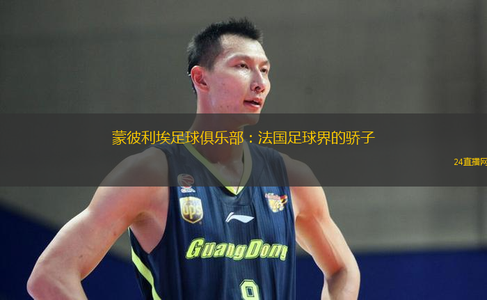 蒙彼利埃足球俱乐部：法国足球界的骄子