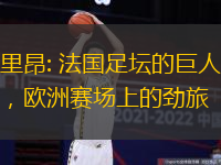 里昂: 法国足坛的巨人，欧洲赛场上的劲旅