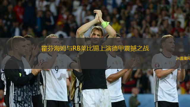 霍芬海姆与RB莱比锡上演德甲震撼之战