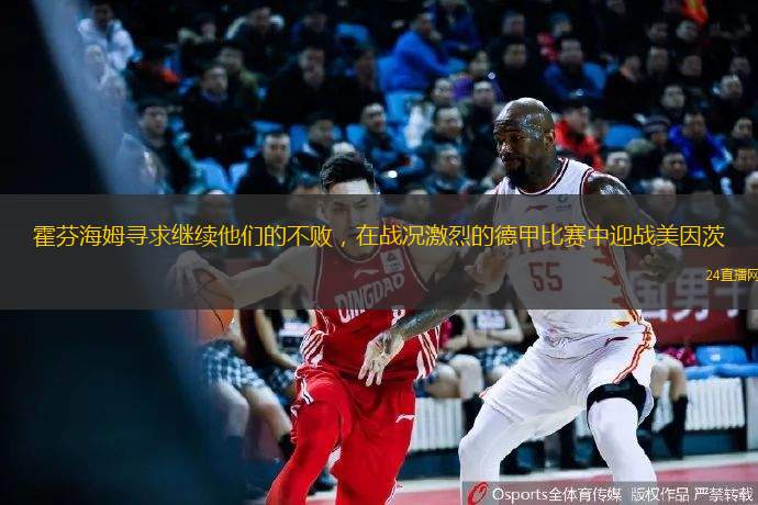 霍芬海姆寻求继续他们的不败，在战况激烈的德甲比赛中迎战美因茨