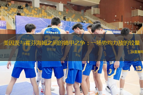美因茨与霍芬海姆之间的德甲之争：一场势均力敌的较量