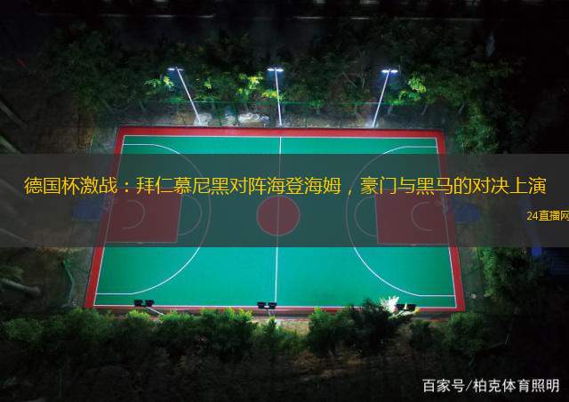 德国杯激战：拜仁慕尼黑对阵海登海姆，豪门与黑马的对决上演