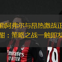 勒阿弗尔与昂热激战正酣：策略之战一触即发