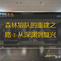 森林狼队的重建之路：从深渊到复兴