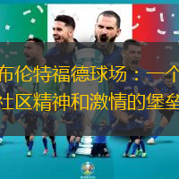 布伦特福德球场：一个社区精神和激情的堡垒