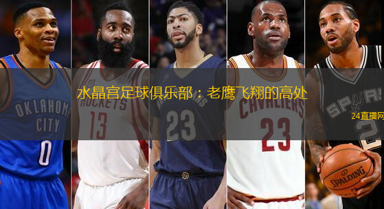 水晶宫足球俱乐部：老鹰飞翔的高处