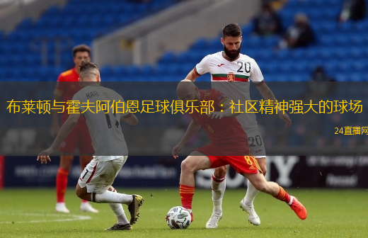 布莱顿与霍夫阿伯恩足球俱乐部：社区精神强大的球场