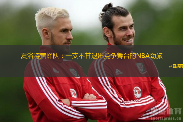 夏洛特黄蜂队：一支不甘退出竞争舞台的NBA劲旅