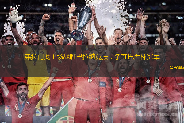 弗拉门戈主场战胜巴拉纳竞技，争夺巴西杯冠军