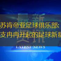 江苏肯帝亚足球俱乐部: 一支冉冉升起的足球新星