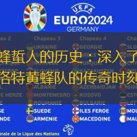 黄蜂蜇人的历史：深入了解夏洛特黄蜂队的传奇时刻