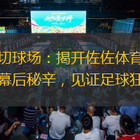 莱切球场：揭开佐佐体育场的幕后秘辛，见证足球狂欢