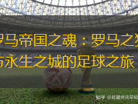 罗马帝国之魂：罗马之狼与永生之城的足球之旅