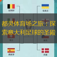 都灵体育场之旅：探索意大利足球的圣殿