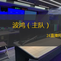 波鸿（主队）