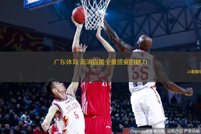 广东体育 高清直播全景盛宴的魅力