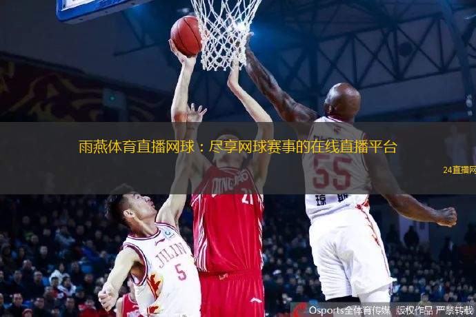 雨燕体育直播网球：尽享网球赛事的在线直播平台