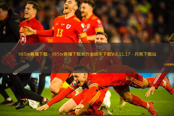 985tv直播下载 - 985tv直播下载官方老版本下载V.8.11.17 - 月亮下载站