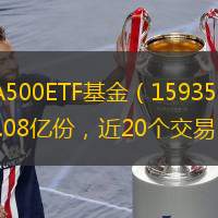 证券之星消息，2月25日，万家中证A500ETF基金（159356）跌0.79%，成交额2.54亿元。当日份额减少了1.44亿份，最新份额为60.08亿份，近20个交易日份额减少10.53亿份。当日资